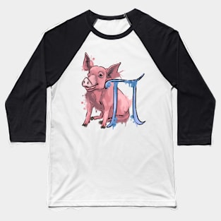 Pig and Pi Baseball T-Shirt